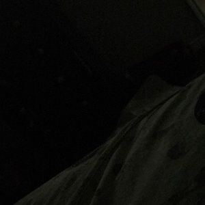 Meet your Posher, Chase